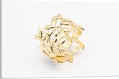 Dibond - Gouden Ring met Bladeren - 90x60cm Foto op Aluminium (Wanddecoratie van metaal)