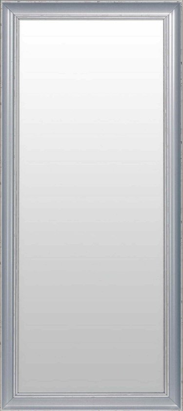 Spiegel Zilver XL 40x170 cm – Casper – Grote Spiegels – Unieke spiegel met  zilveren... | bol.com