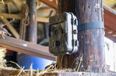 Knock Pest Control Observatie Camera – 14,5 x 11 x 7,4 cm – WildCamera - Hoge kwaliteit – 3 Opnamemogelijkheden – voor Foto’s en Video’s – Dag en nacht – Waterdicht - Werkt op batterijen - Gecamoufleerde