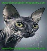 Lenks Diamond painting zwarte kat 40 X 50cm ronde steentjes full paint Diamond Paint 3516NC