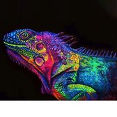 Schilderenopnummers.com® - Schilderen op nummer volwassenen - Kameleon - 50x40 cm - Paint by numbers