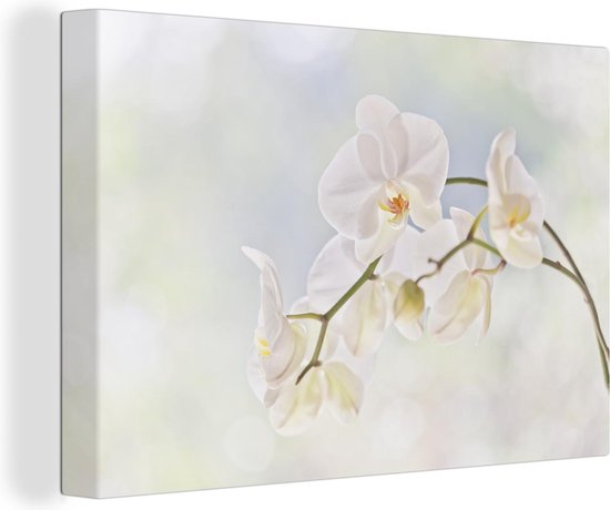 Canvas Schilderij Witte orchidee tegen een vervaagde achtergrond - 90x60 cm - Wanddecoratie