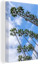Des rangées de palmiers se détachent sur le ciel bleu 80x120 cm - Tirage photo sur toile (Décoration murale salon / chambre) / Arbres Peintures sur toile