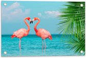 Tuinposter – Twee Liefdevolle felroze Flamingo's in het Water  - 60x40cm Foto op Tuinposter  (wanddecoratie voor buiten en binnen)