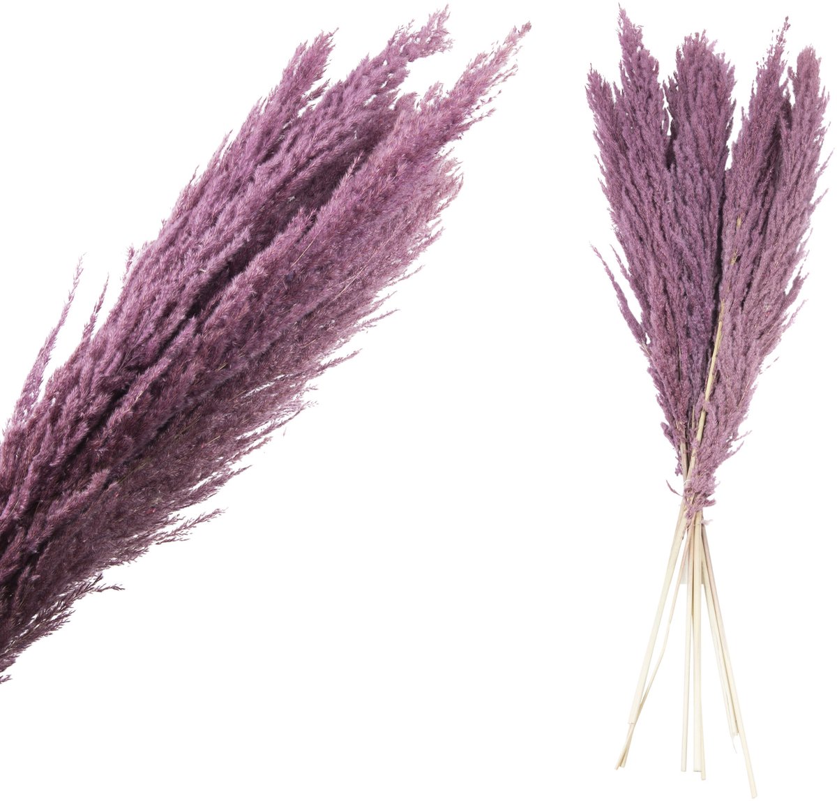 Fluffy grass dried 111 cm per stuk