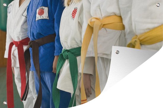 Tuindecoratie Meerdere judoka's staan naast elkaar met verschillende kleuren  banden -... | bol.com