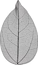 Skeleton leaves . L: 6-8 cm. zwart. 20 stuk/ 1 doos