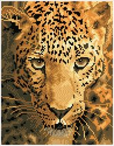DDK6.005 Diamond Dotz® - Diamond painting volwassenen - Diamond painting met lijst - Dieren - Jaguar op jacht 35.50 x 27.50cm - Ronde steentjes - Volledig pakket