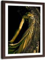 Foto in frame ,  Dansende vrouw in goudstof ,120x80cm , zwart bruin , wanddecoratie