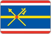 Vlag Bad Nieuweschans - 200 x 300 cm - Polyester