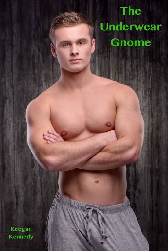 The Underwear Gnome - cover