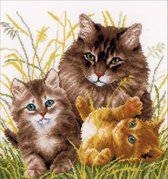 Kattenfamilie borduren (pakket)