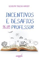 Incentivos e desafios de um professor