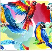 Acrylglas - Geschilderde Papagaaien - 50x50cm Foto op Acrylglas (Wanddecoratie op Acrylglas)