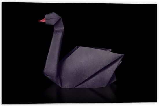 Dibond - Zwarte Kraanvogel pop Zwarte Achtergrond - 60x40cm Foto op Aluminium (Wanddecoratie van metaal)