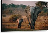 Canvas  - Olifant met Haar Baby lopend over Landschap - 120x80cm Foto op Canvas Schilderij (Wanddecoratie op Canvas)