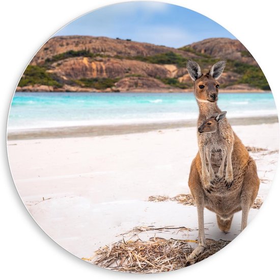 Forex Wandcirkel - Kangaroo met Jong op Strand - Foto op Wandcirkel (met ophangsysteem)