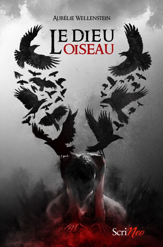 Jeune Adulte - Le dieu oiseau - cover