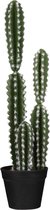 Mica Decorations Cactus Kunstplant - H51 x Ø13,5 cm - Groen