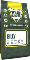 Yourdog billy pup (3 KG)
