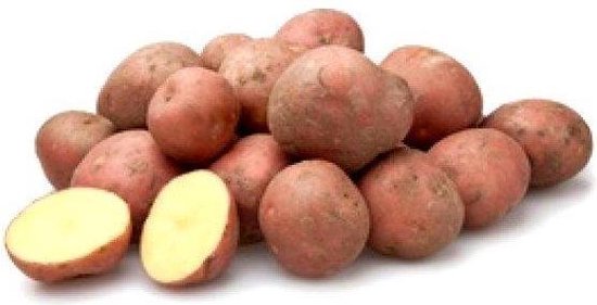 Pootaardappel Bildtstar 2,5kg kopen – Late Rode Aardappel | Buzzy Pootgoed