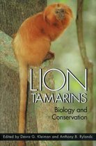Lion Tamarins