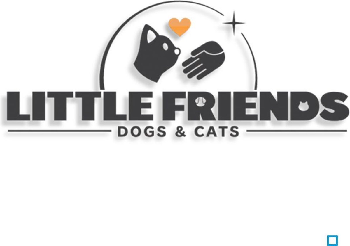 Little Friends Switch Little Friends Switch