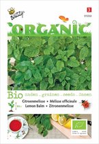 Buzzy® Organic Citroenmelisse (BIO)