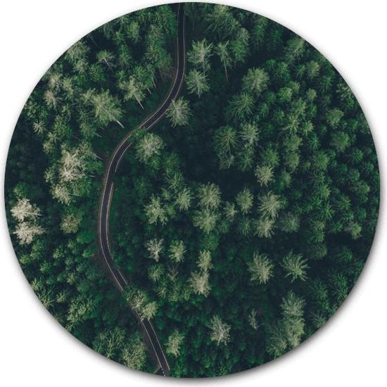 Wandcirkel The Green Road op hout - WallCatcher | Multiplex 100 cm rond | Houten muurcirkel bosweg