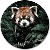 Wandcirkel Kleine Panda op hout - WallCatcher | Multiplex 40 cm rond | Houten muurcirkel Red Panda