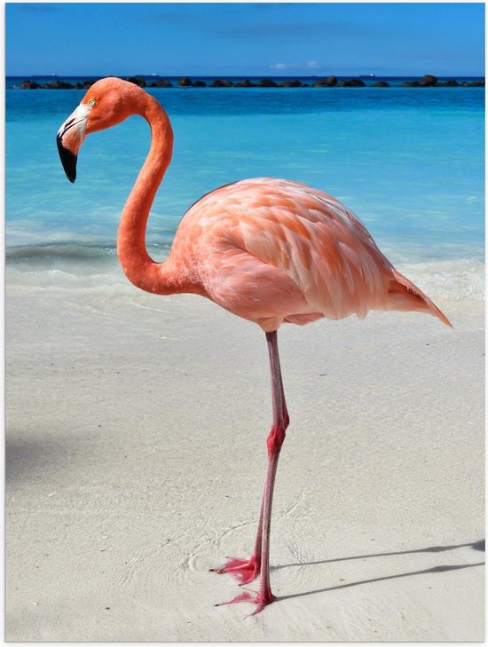 Poster – Flamingo op Tropisch Strand - 30x40cm Foto op Posterpapier