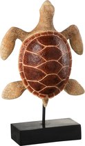 J-Line - Decoratie Beeld - Schildpad - 25 cm x 10,3 cm x 39,5 cm