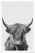 JUNIQE - Poster Highland Cow Classic -30x45 /Wit & Zwart