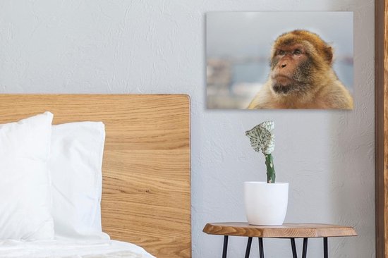 Portrait de Macaque de Barbarie sur toile 30x20 cm - petit - Tirage photo sur toile (Décoration murale salon / chambre) / Peintures sur toile Animaux