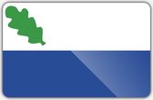 Vlag gemeente Oirschot - 200 x 300 cm - Polyester