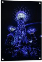 Tuinposter – Garden by the Bay - Singapore  - 60x90cm Foto op Tuinposter  (wanddecoratie voor buiten en binnen)