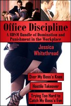 Office Discipline: A BDSM Bundle of Domination and Punishment in the Workplace