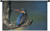 Tenture murale Kingfisher - Kingfisher in the wild Tenture murale coton 90x60 cm - Tapisserie murale avec photo
