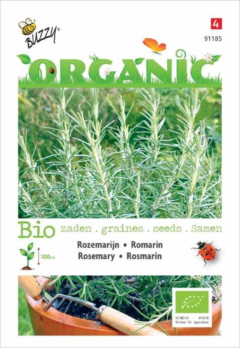 Buzzy® Organic Rozemarijn (BIO) - Buzzy Seeds