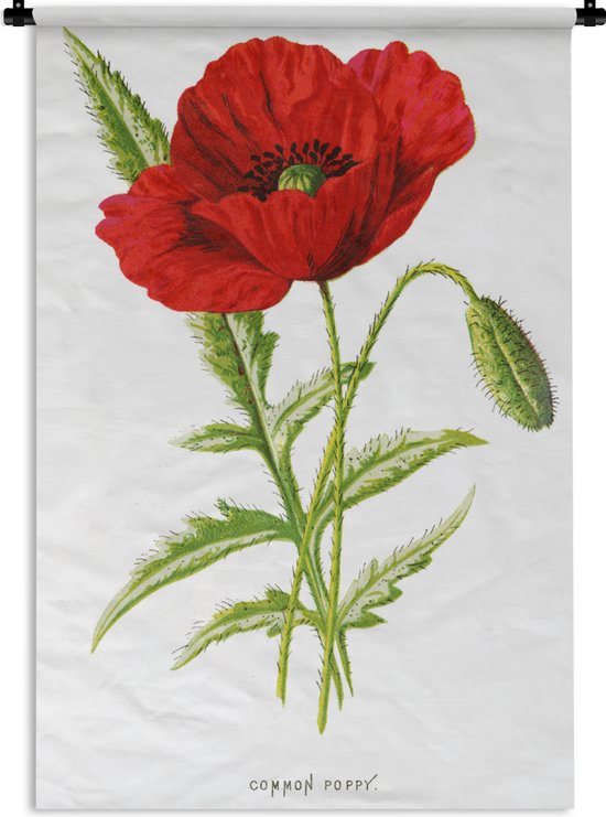 Wandkleed Vintage Bloemen - Vintage illustratie van een rode bloem Wandkleed katoen 60x90 cm - Wandtapijt met foto