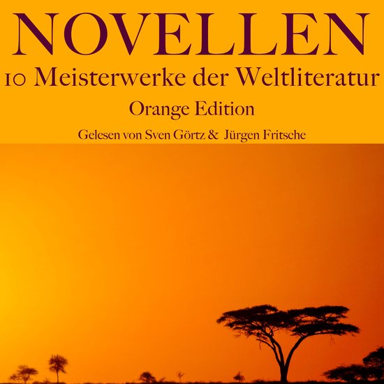 Novellen: Zehn Meisterwerke der Weltliteratur - cover