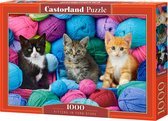 Castorland Kittens in Yarn Store - 1000pcs