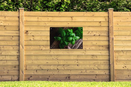 Tuinposters buiten Basilicum planten - 90x60 cm - Tuindoek - Buitenposter
