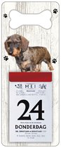 Scheurkalender 2024 Hond: Ruwharige tekkel