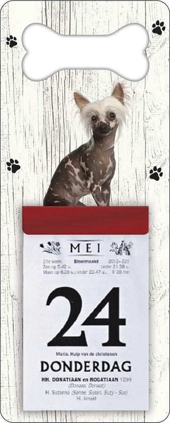 Scheurkalender 2026 Hond: Naakthond