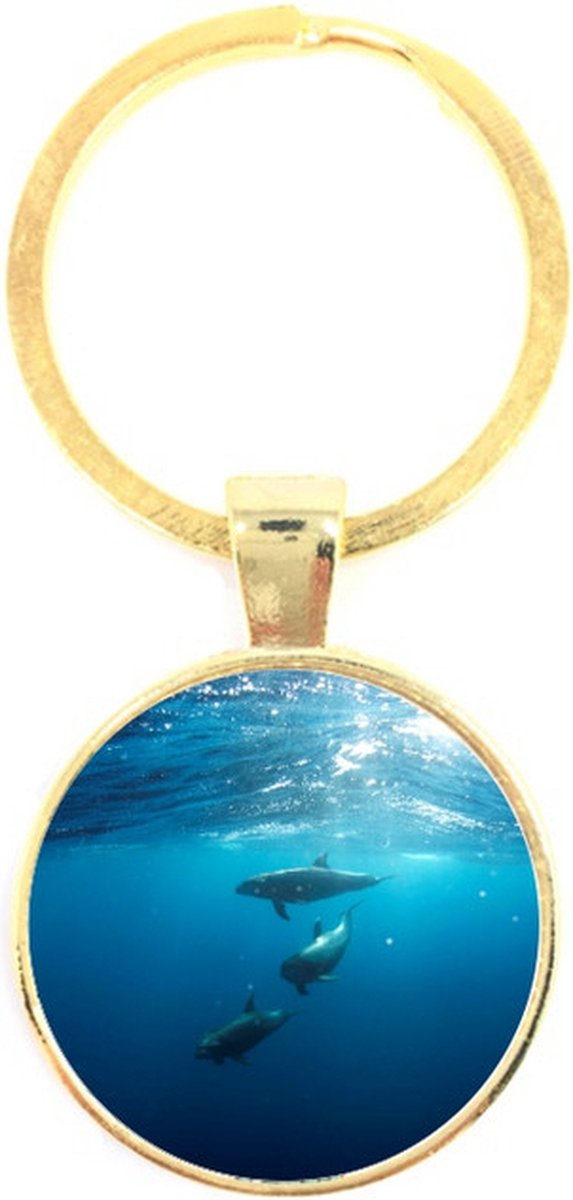 Sleutelhanger Glas - Dolfijnen