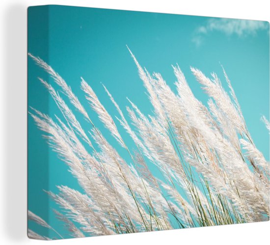 Peinture sur toile Herbe de la Pampa - Plante - Plante - 40x30 cm - Décoration murale