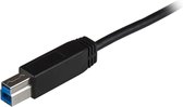 Cable USB C Startech USB31CB1M Black 1 m