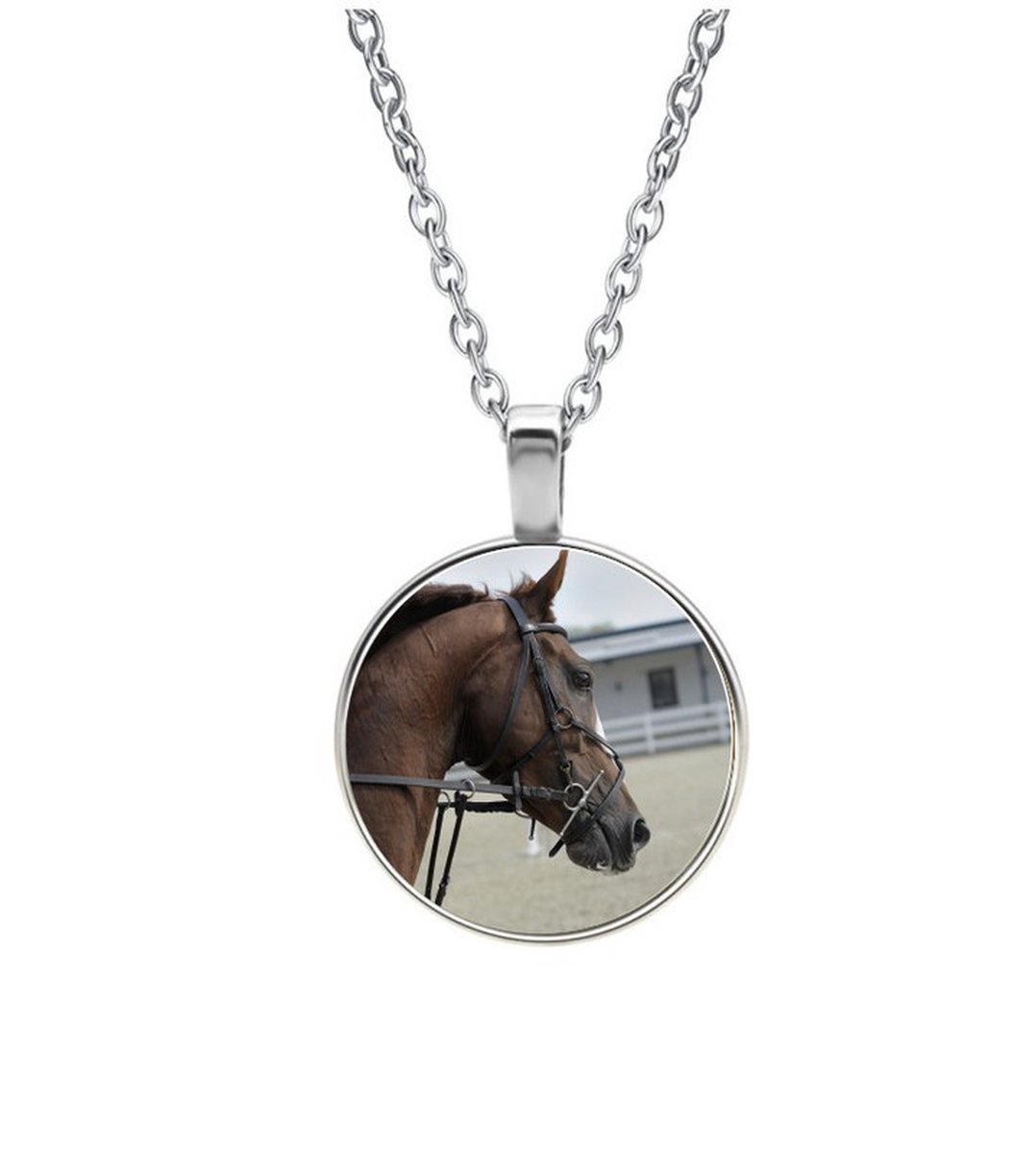 Ketting Glas - Paard
