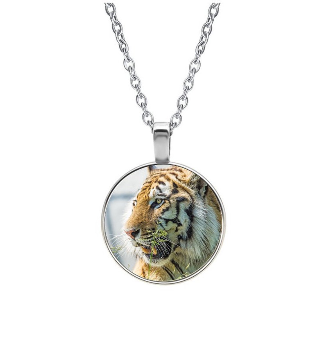 Ketting Glas - Tijger